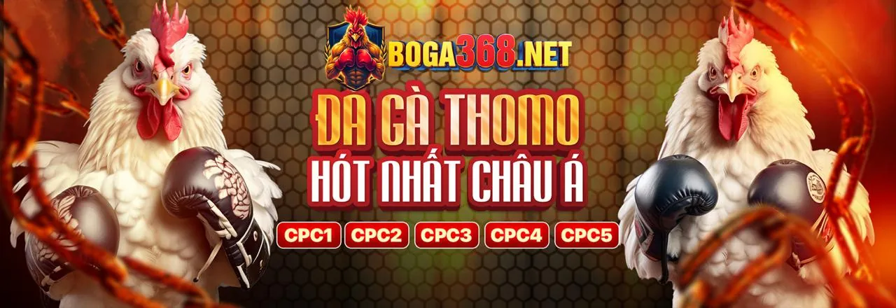 Tổng quan các loại khuyến mãi đa dạng của viva88net